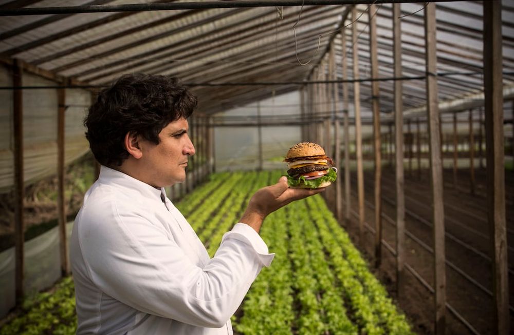 Desde las “mejores hamburguesas del mundo” a motos de lujo: todas las marcas que llegan a Mendoza