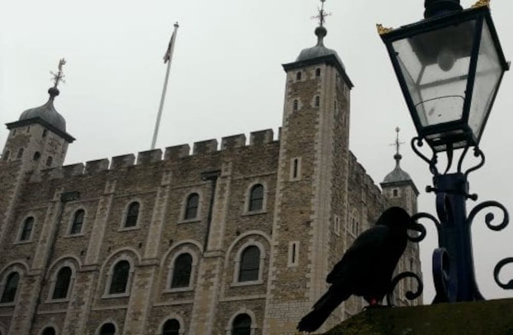 La leyenda de los cuervos es muy antigua en Inglaterra y los ciudadanos más supersticiosos temen que se cumpla.