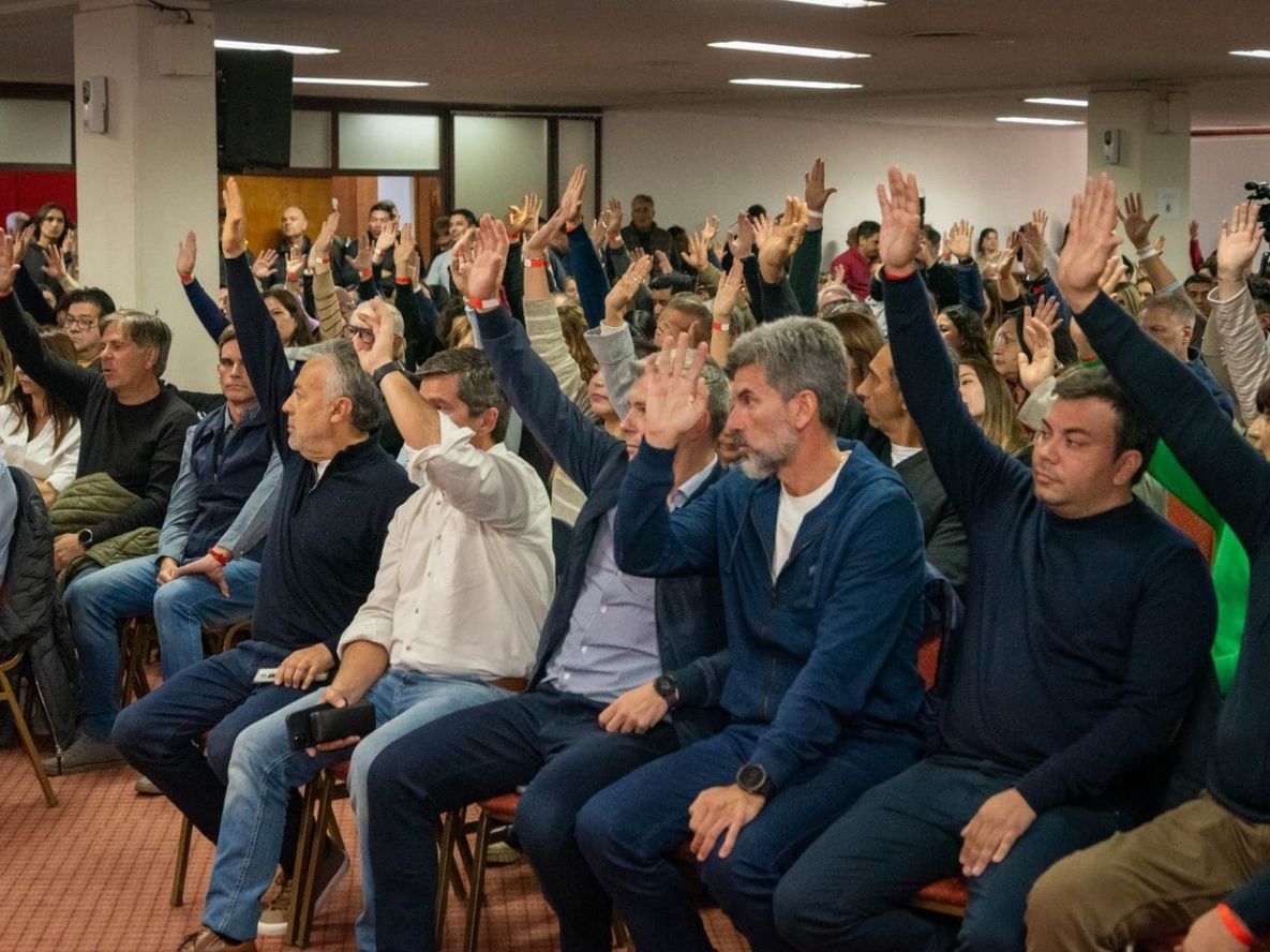 El congreso extraordinario de la UCR elegirá los candidatos.