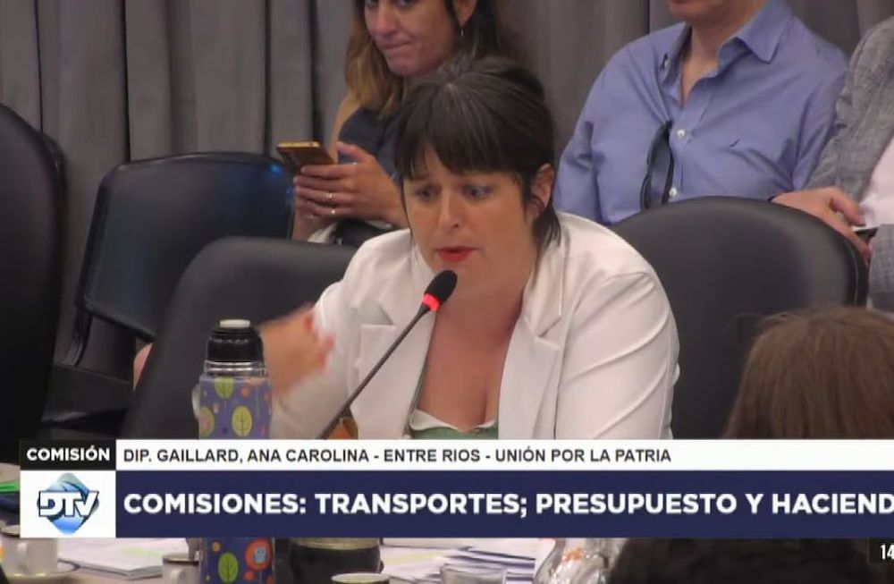 Carolina Gaillard, diputada de UxP: Son unos vende patria