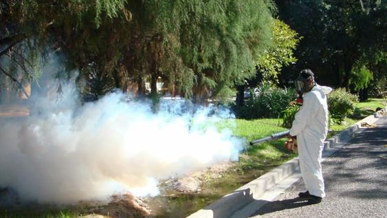 Dengue: los usuarios suelen reclamar por fumigaciones y cuestionar la falta de ellas al gobierno y las comunas. Sin embargo, especialistas y autoridades hacen algunas salvedades al respecto y advierten que no es una estrategia que deba usarse de manera masiva. Por el contrario, tal cosa podría ser contraproducente.