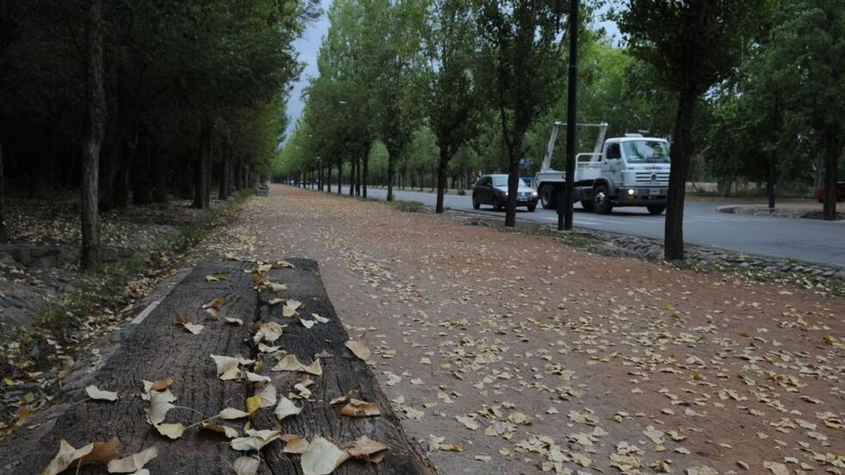 El pronóstico del tiempo para este sábado: cómo sigue el fin de semana largo