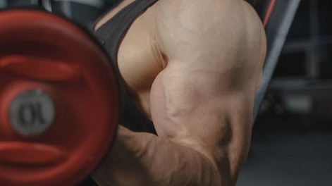 En menos de 10 minutos: esta la rutina de entrenamiento ideal para brazos
