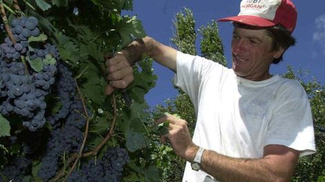 Coninagro: “Tomar al agro como un mero proveedor de dólares es desvalorizar al sector”