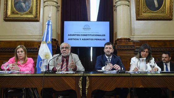 Los senadores Juan Carlos Pagotto y Edgardo Kueider, presidentes de las comisiones de Justicia y de Asuntos Constitucionales del Senado, encabezaron el debate sobre la boleta única (Foto: Comunicación Senado)