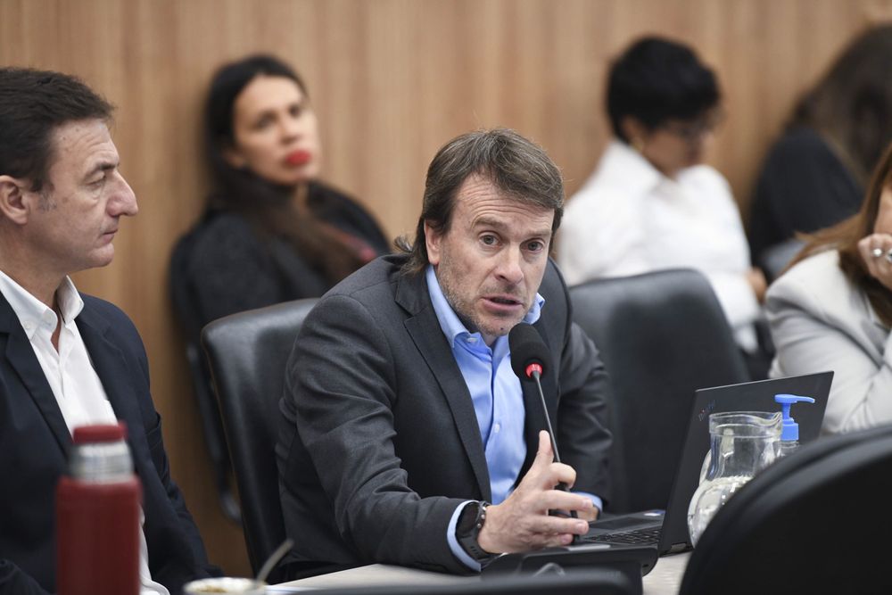 El diputado nacional de la UCR, Lisandro Nieri.