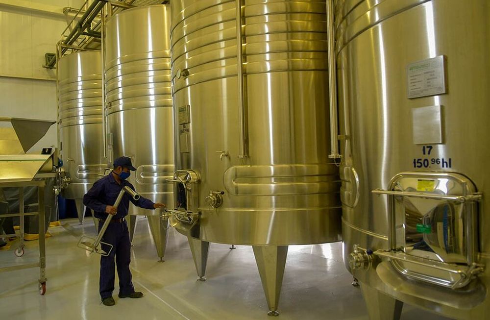 Los productos intervenidos serán liberados para la fabricación de productos derivados de la industria vitivinícola. - Orlando Pelichotti / Los Andes