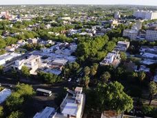 Sin contar los bosques nativos, hay 4 millones de árboles en Mendoza