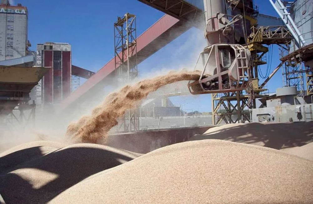 A casi una semana de los cambios en el Ministerio de Economía se suman al cepo a la importación y otras variables macro. Productores e industriales temen que disminuya la actividad por retracción de la economía.