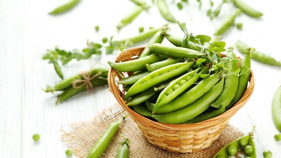 Nos damos cuenta de que la chaucha está madura y para cosechar, cuando se abre fácilmente al presionar entre los dedos. ¡Su sabor es espectacular!