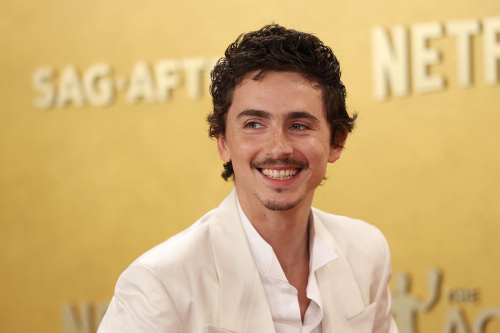 Timothée Chalamet