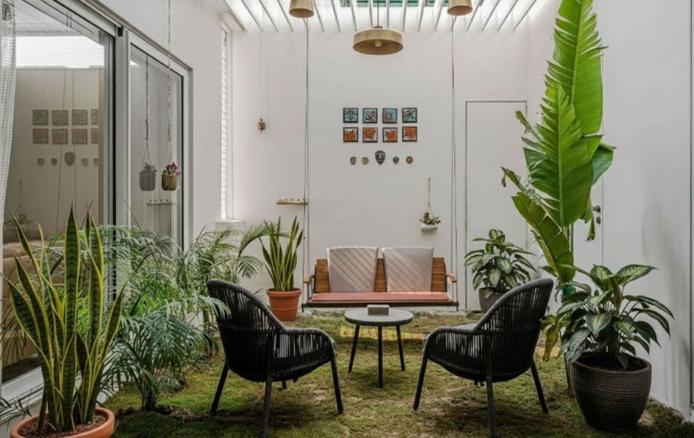 Estas especies de plantas son funcionales, decorativas y resistentes en patios internos.