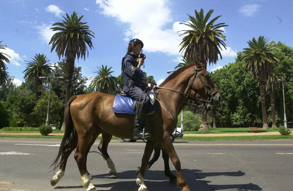 Caballo de la Policía cayó en el Parque, chocó su cabeza contra un micro y fue sacrificado