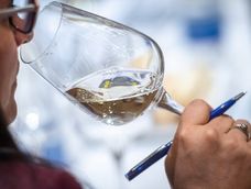 El Sauvignon Blanc 2024 de Vino El Raro obtuvo Medalla Gran Oro en el Concurso Guarda14. El Sauvignon Blanc 2024 de Vino El Raro obtuvo Medalla Gran Oro en el Concurso Guarda14.