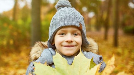 Las familias pueden revisar el estado de su solicitud en la plataforma oficial de Vouchers Educativos.