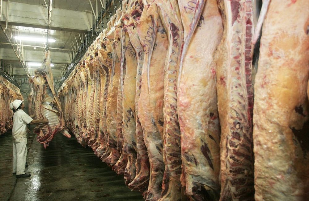 Prevén otra importante suba en el precio de la carne