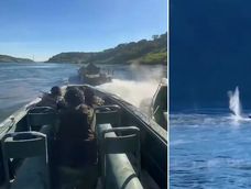 Video: el violento enfrentamiento a tiros entre fuerzas federales y contrabandistas en Puerto Iguazú. Video: el violento enfrentamiento a tiros entre fuerzas federales y contrabandistas en Puerto Iguazú.