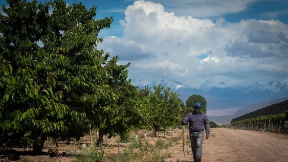 El clima para nuestra provincia tendrá nubosidad variable con tormentas hacia la noche. Ignacio Blanco / Los AndesFoto: Ignacio Blanco / Los Andes