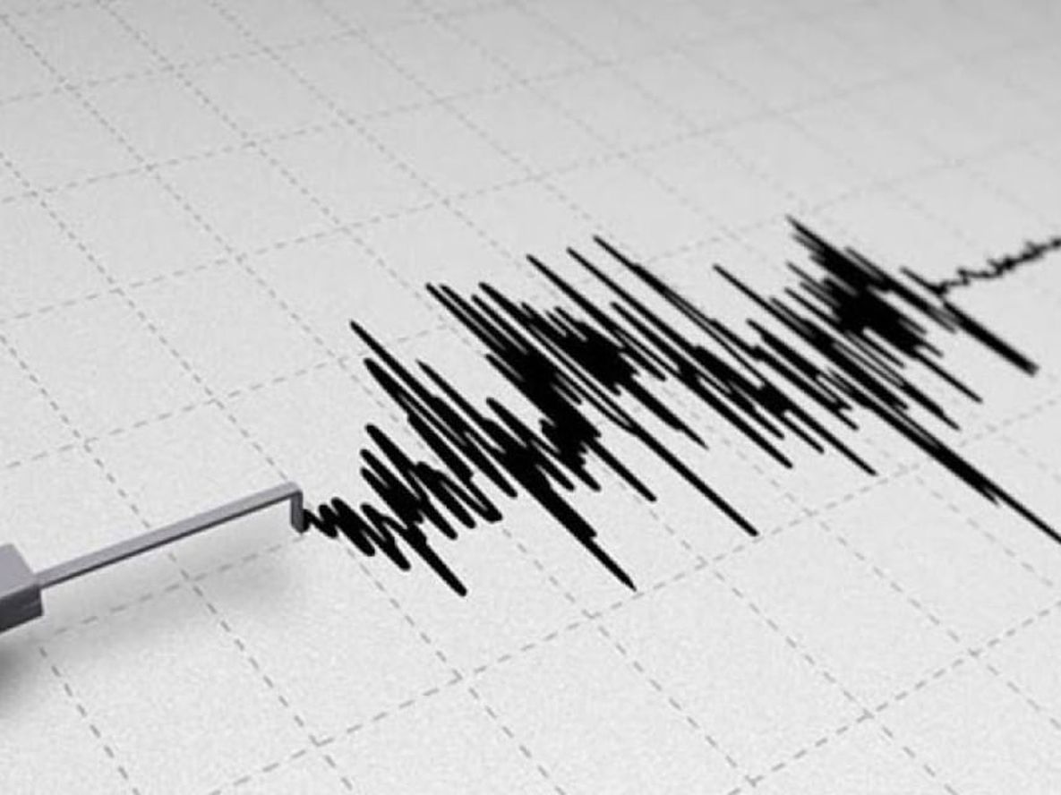 Fuerte temblor en Mendoza de magnitud de 5 grados.
