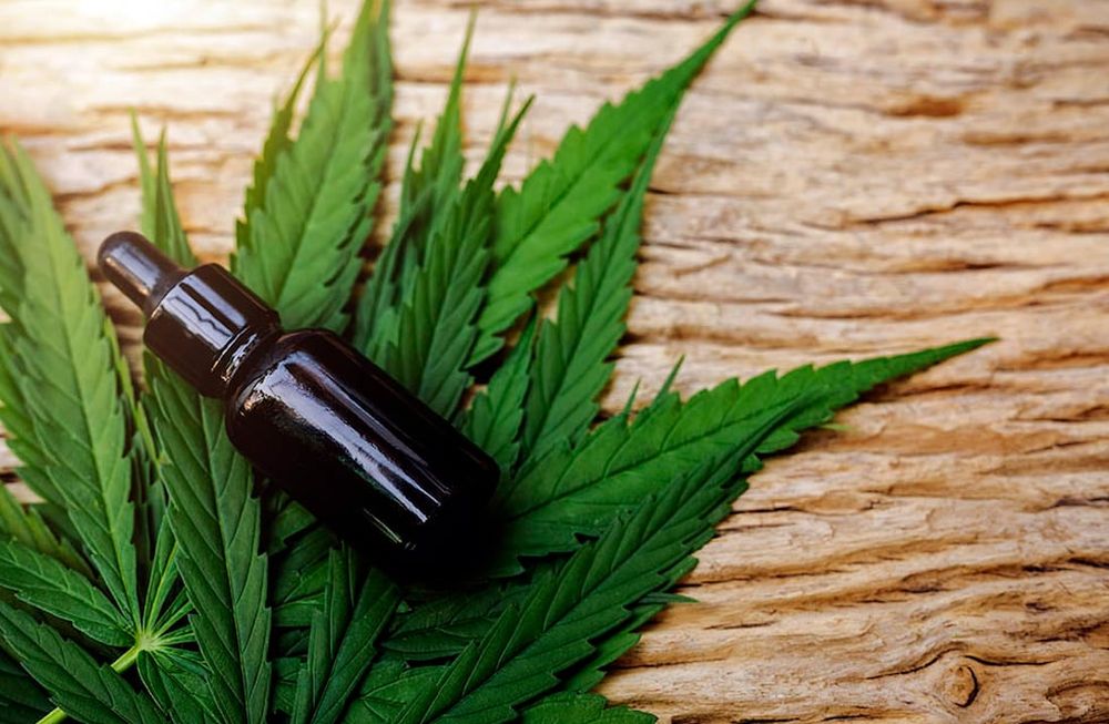 Es un proyecto abarcativo que pueda satisfacer principalmente la demanda y la necesidad que van a tener los privados, pero también las habilidades profesionales y técnicas del personal ligado a esta tarea, sostuvo María Virginia Coraglia.