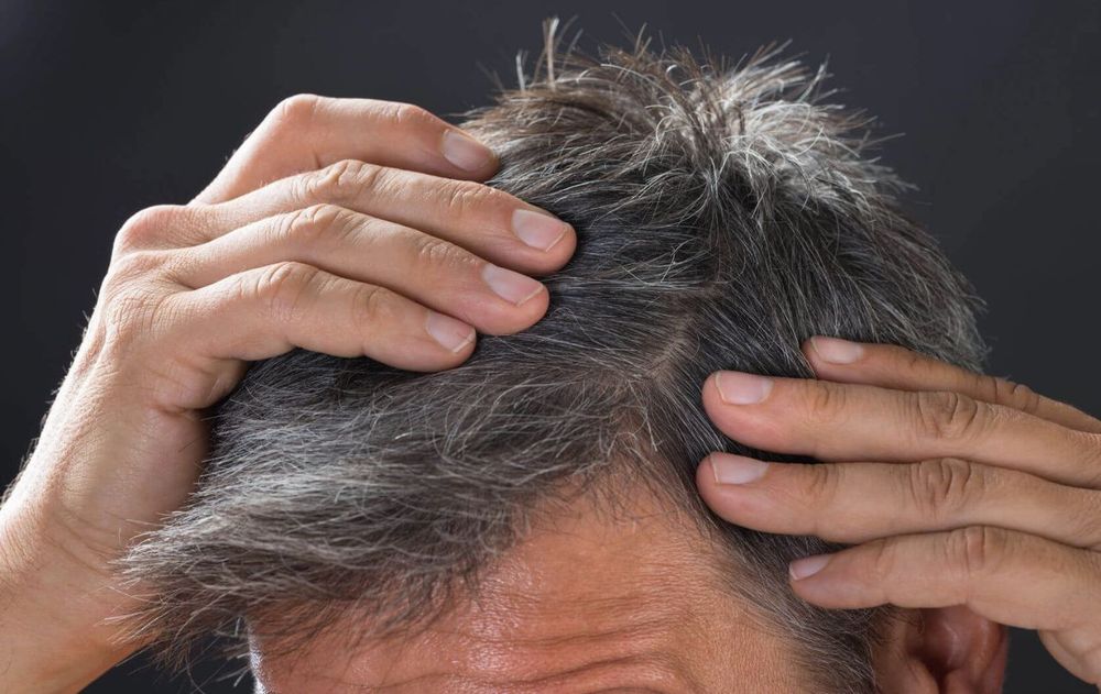 Lo importante es implementar estos pasos de forma gradual, observando cómo reacciona el pelo y ajustando la cantidad y frecuencia según su necesidad.