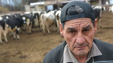 Los Andes | Mendoza 09 Agosto  de 2021 EconomíaTambero Luis Oscar Gonzalez.Historias diarias. El tambero Luis Oscar González (61), trabaja en el Tambo Guercio, ubicado en Bermejo Guaymallén desde hace 17 años.Desde niño se dedica al cuidado de ganado y de ordeñar