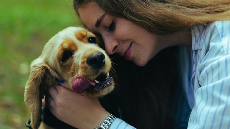 Los Andes | Las razas de perros ideales como primera mascota