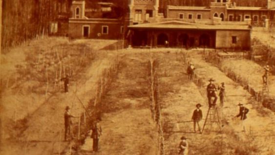 Esta imagen fue tomada en el invierno de 1879 y es la primera foto conocida de la Quinta Agronómica (forma parte de una panorámica más amplia), allí los alumnos se encuentran podando unas hileras de perales, la fotografía fue tomada hacia el oeste. Al fondo se puede observar la precordillera, los álamos indican la traza de la actual calle Belgrano (entonces llamada del Alto Godoy). Foto: Gentileza