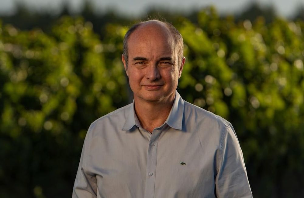 Rubén Panella, presidente de Fecovita, habló con Los Andes sobre las perspectivas para el 2024