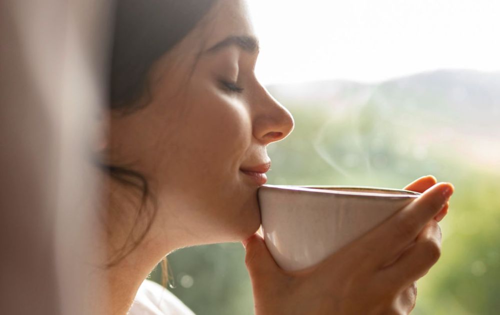 A través de un té, frío o caliente, la ciencia dice que se puede mejorar el descanso nocturno con esta planta.