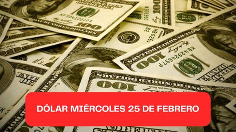 Dólar miércoles 25 de febrero 2026.