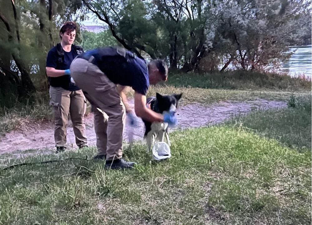 Intenso operativo de búsqueda en Río Negro para dar con el paradero de Enzo. Intenso operativo de búsqueda en Río Negro para dar con el paradero de Enzo.