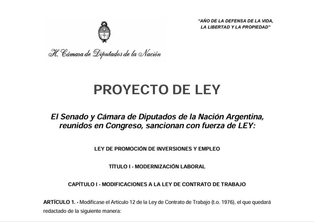 El borrador que circula del proyecto de reforma elaborado por una diputada de LLA