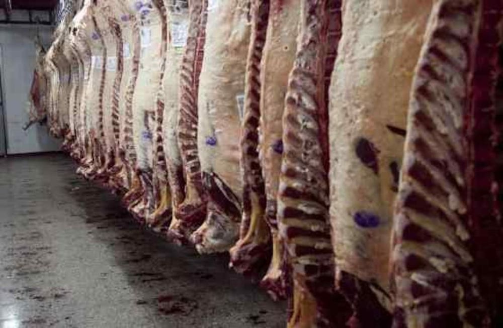 CARNE VACUNA (Archivo/La Voz).