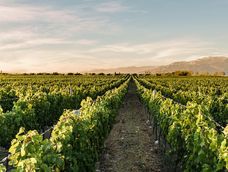 Nueva jornada de capacitación para riego en Mendoza. 
