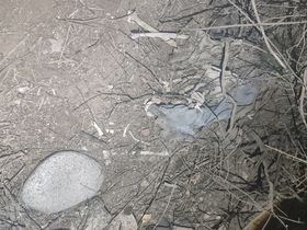 Los restos óseos encontrados en Luján. Foto: Ministerio de Seguridad.&nbsp;