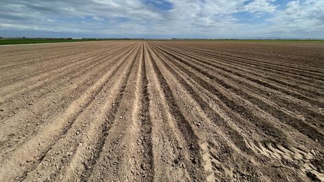 Los Andes | LLMFG3MTWJAIHIANVKVYSHZP6A.jpeg?quality=75&smart=true&auth=24049b1f9841398a108e781d4c0dace8fecbe42009e782e93361b73d1fd94898&width=980&height=640