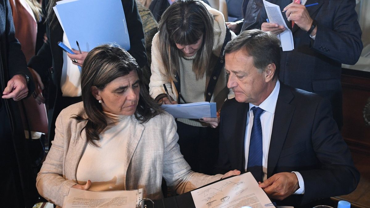 Entre avances y retrocesos