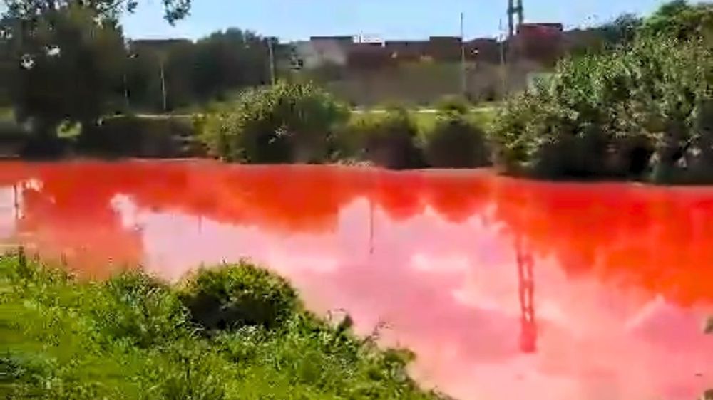 Así amaneció hoy el arroyo Sarandí, en Avellaneda.