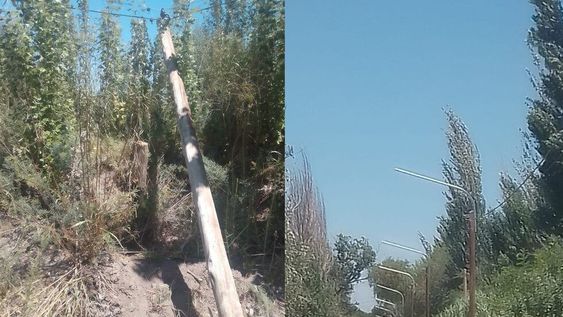 Las autoridades  calificaron el robo como un acto vandálico contra el alumbrado público que afectó a los vecinos de la zona - Facebook Municipalidad de San Martín