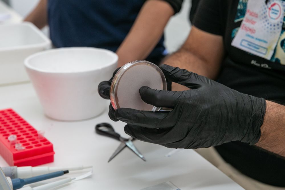 Ein Wissenschaftsprojekt der UNCuyo erhält 330.000 US-Dollar von der Zuckerberg Foundation: Wie das Geld investiert wird. Foto: Mit freundlicher Genehmigung der UNCuyo.