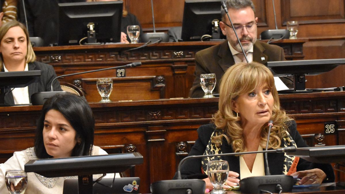 Diputados aprobó la "ley macro" que elimina el Fon