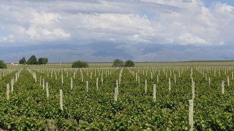 El evento reunirá a productores, técnicos, estudiantes y startups AgTech con foco en innovación aplicada al agro.