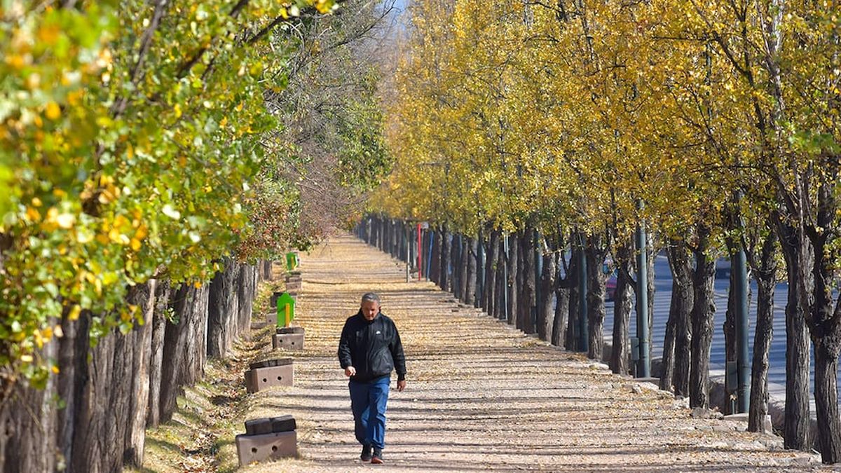 Fin de semana con sol en Mendoza: tardes templadas en el llano antes de la llegada de un frente frío