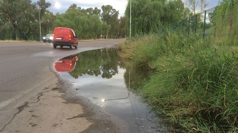 Avenida Champagnat: errores de diseño y de años sin mantenimiento - Por Carlos Llopiz