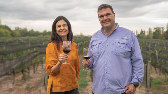Vanguarvid, un proyecto que enseña sobre viticultura y vino. Foto: Pablo Tello.