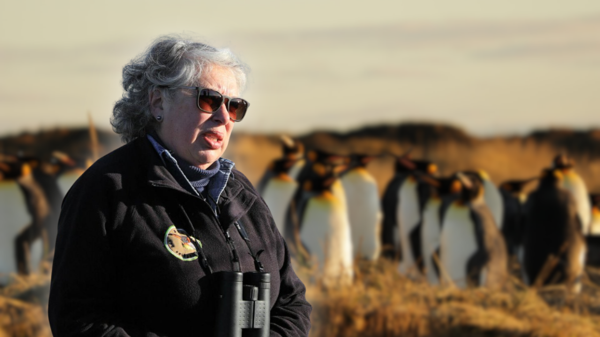 Encontró pingüinos en Tierra del Fuego, combatió a cazadores y dejó la docencia para liderar un refugio único en Sudamérica