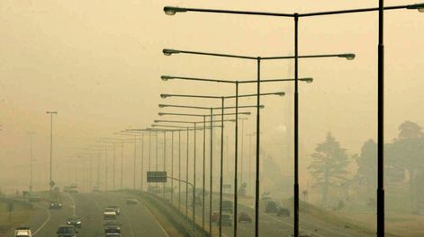 El dilema entre alimentos o combustibles