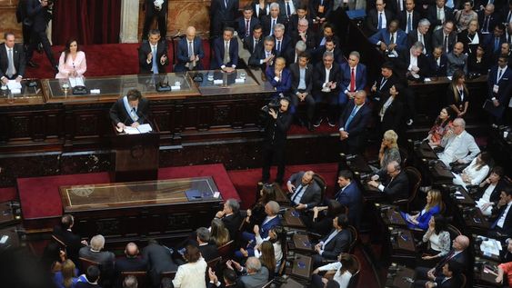 Discurso del presidente Javier Milei ante la Asamblea Legislativa en el Congreso. Foto: Federico Lopez Claro