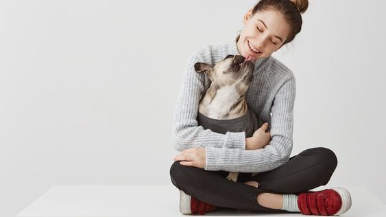 Cuidados para tu animal de compañía: la importancia de la desparasitación